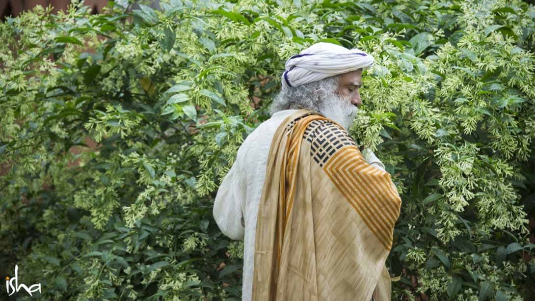 Feeling Worthless? Sadhguru on Usefulness in Life