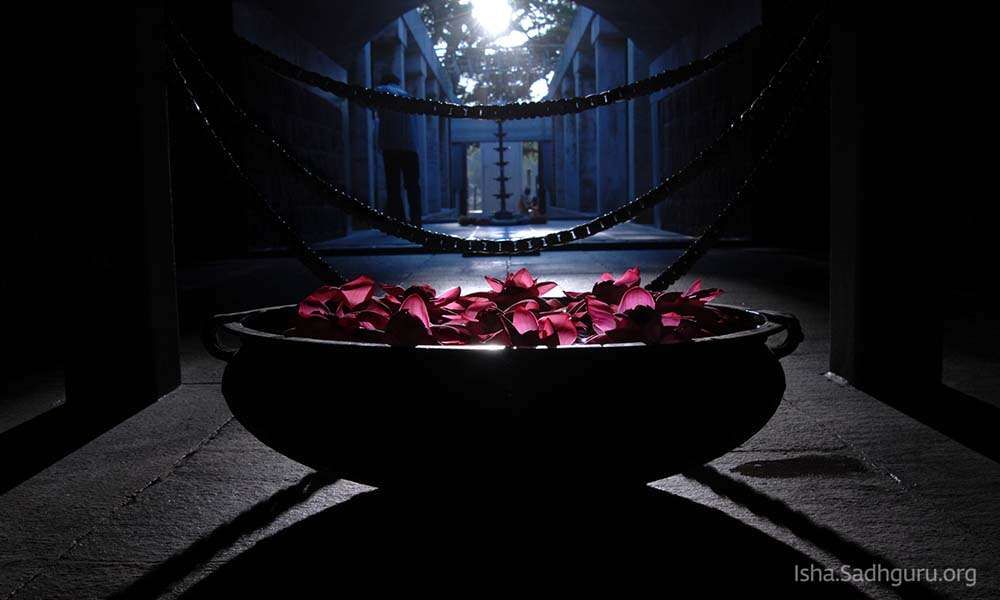 In front of isha dhyanalinga temple: Big metal bowl with pink lotus flowers in water.